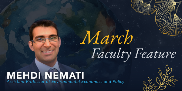 Headshot of Professor Mehdi Nemati